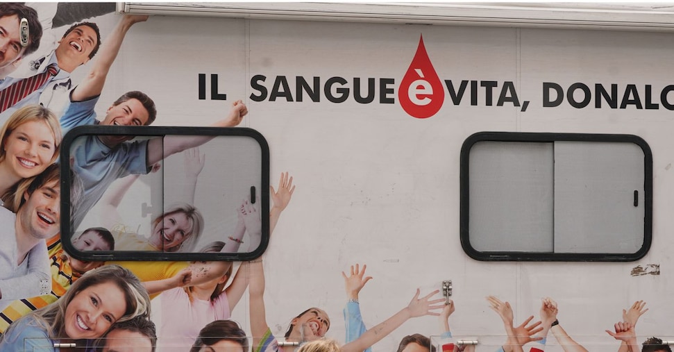 Nel 2025 tre milioni di donatori, gli uomini sono quasi il doppio delle donne