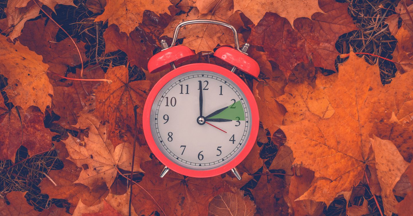 https://i2.res.24o.it/images2010/S24/Documenti/2025/10/22/Immagini/Ritagli/AdobeStock_176208823-U70605408242tmf-1440x752@IlSole24Ore-Web.jpeg