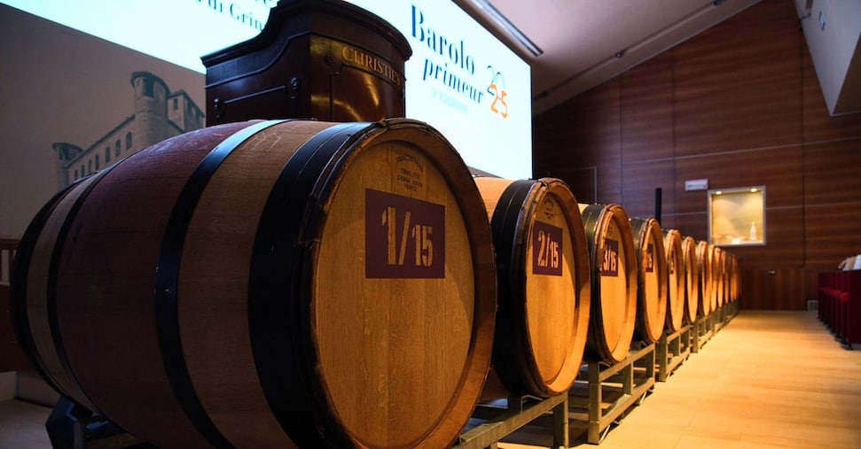 Barolo en Primeur, nuovo record per l’asta benefica di Alba Barolo en Primeur, nuovo record per l’asta benefica di Alba