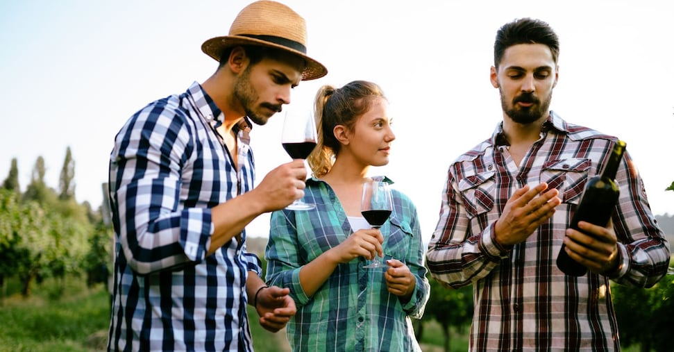 Enoturismo, al debutto una fiera B2B: ecco come gli investimenti cambiano il settore