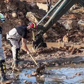 immagine non disponibile