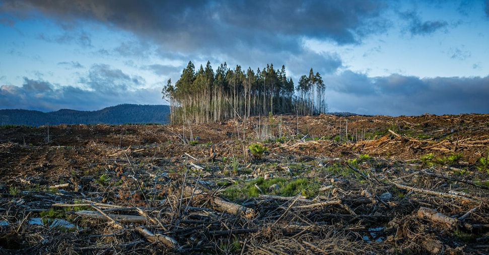 Clima, in Italia raddoppio dei decessi rispetto agli anni 90 Clima, in Italia raddoppio dei decessi rispetto agli anni 90