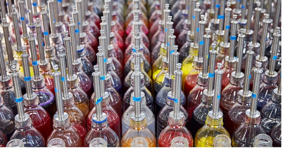 Carvico cresce in sostenibilità con energie rinnovabili e materiali riciclati