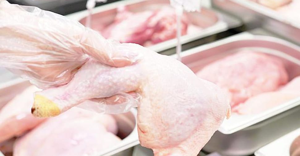 Per le carni bianche consumi in crescita: fatturato a 7,7 miliardi. Record anche per le uova