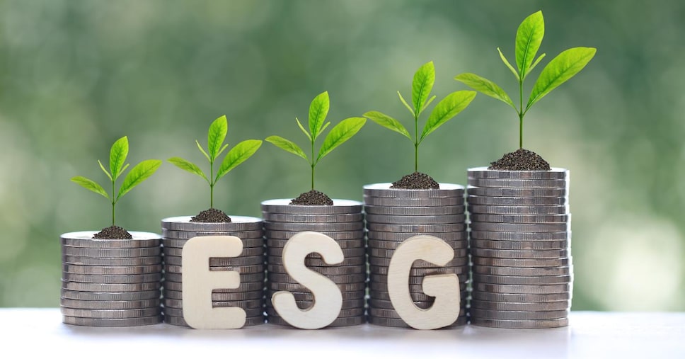 Esg, sono ancora poche le Pmi che si rivolgono alla finanza agevolata