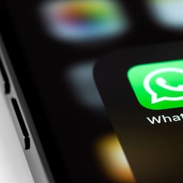 immagine non disponibile