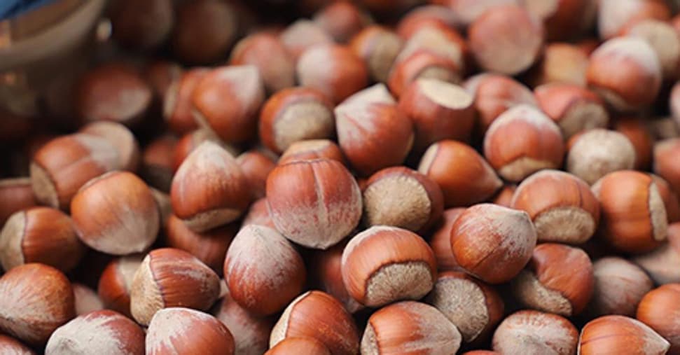 Ferrero: stop all’acquisto di nocciole turche dopo il boom dei prezzi Ferrero: stop all’acquisto di nocciole turche dopo il boom dei prezzi