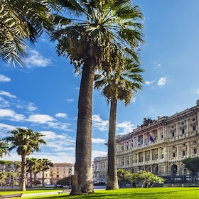 immagine non disponibile