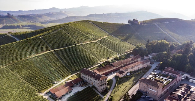 L’ospitalità oggi vale 6,5 milioni di ricavi, mentre 1 milione arriva dalla bottega che vende vini