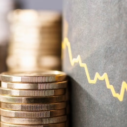 gopixa - stock.adobe.com