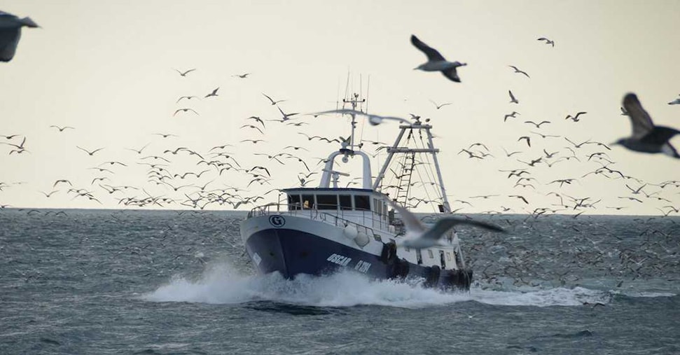 Economia del mare, Italia tra i leader europei