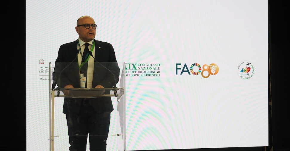 Agronomi e forestali, competenze trasversali per anticipare il futuro