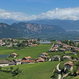 immagine non disponibile