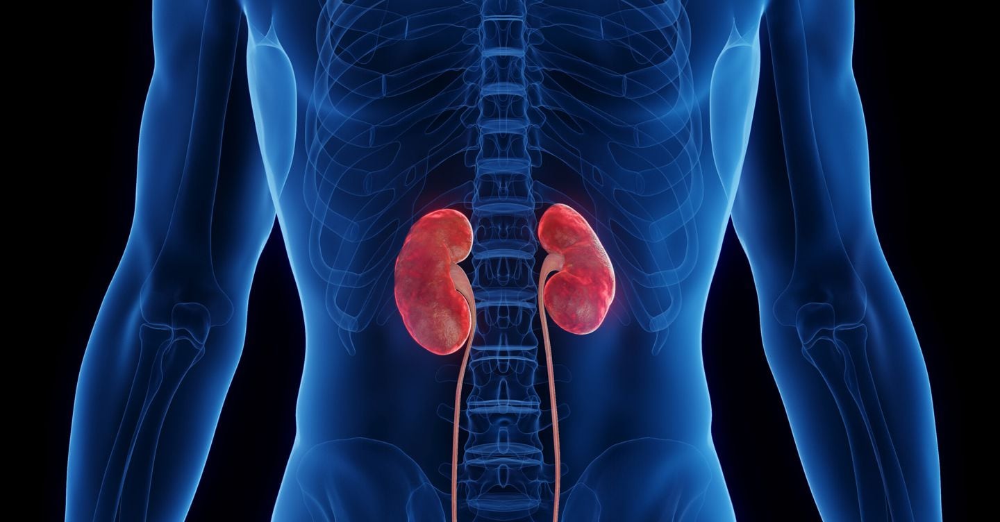 Malattia renale cronica per 4 mln in Italia:  l’importanza di garantire a tutti una dieta adeguata