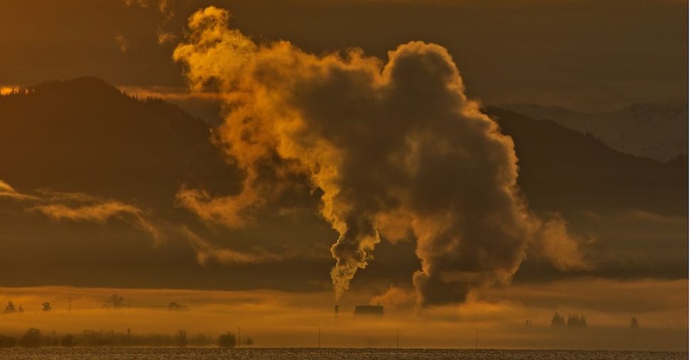 Che cosa sono i crediti di carbonio e perché sono importanti per Cop30