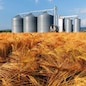 Silos in a barley field. Storage of agricultural production.