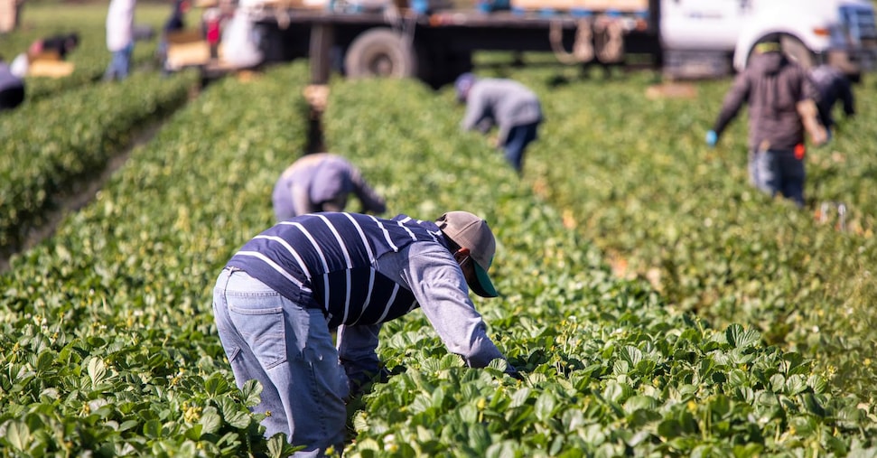No all’estradizione di migranti senza legami familiari nel paese d’origine o a rischio di fragilità economica