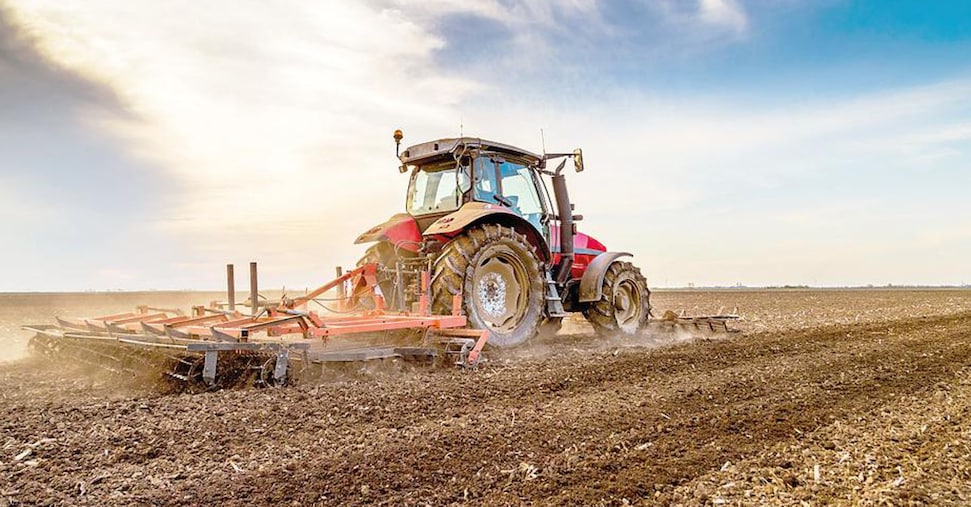 Terreni, i prezzi battono l’inflazione ma 1,5 milioni di ettari restano incolti