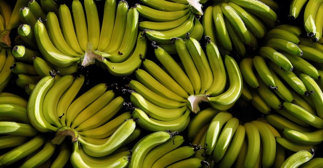  Banane in una fattoria fuori Guayaquil, 23 febbraio 2012. REUTERS/Guillermo Granja/Foto d'archivio