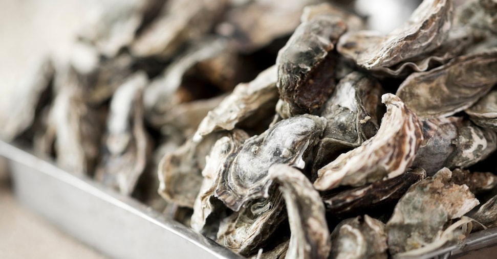 Manovra: dalle carni suine alle ostriche, dal latte ai prodotti biologici in Parlamento è assalto all’Iva