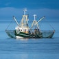 Krabbenkutter auf der Nordsee vor der Insel Föhr.