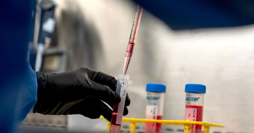 Dalla prevenzione una spinta per il Paese