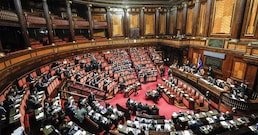 immagine non disponibile