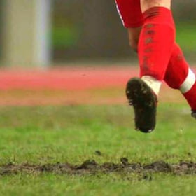 immagine non disponibile