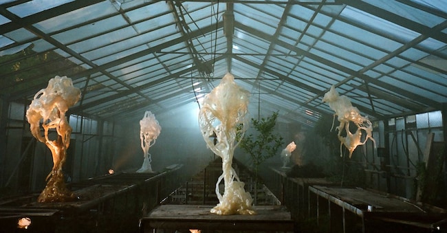 Una delle installazioni di Marcin Rusak dal progetto “Ghost Orchids” esposto ad Alcova durante la scorsa Design Week. ©Jacqueline Sobiszewski
