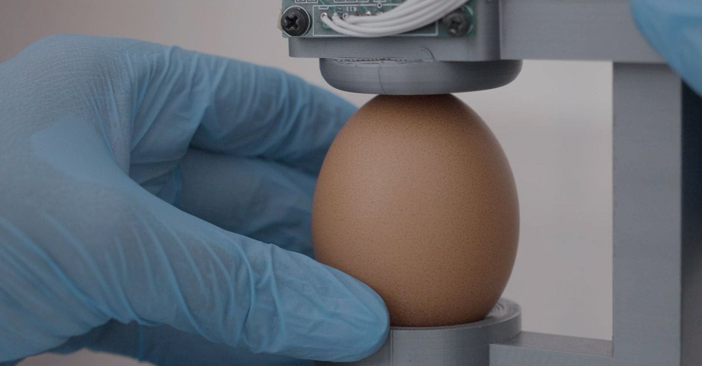 https://i2.res.24o.it/images2010/S24/Documenti/2025/11/21/Immagini/Ritagli/Uovo-U68233170362rWI-1440x752@IlSole24Ore-Web.jpg