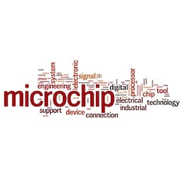 Microchip word cloud
