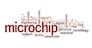 Microchip word cloud