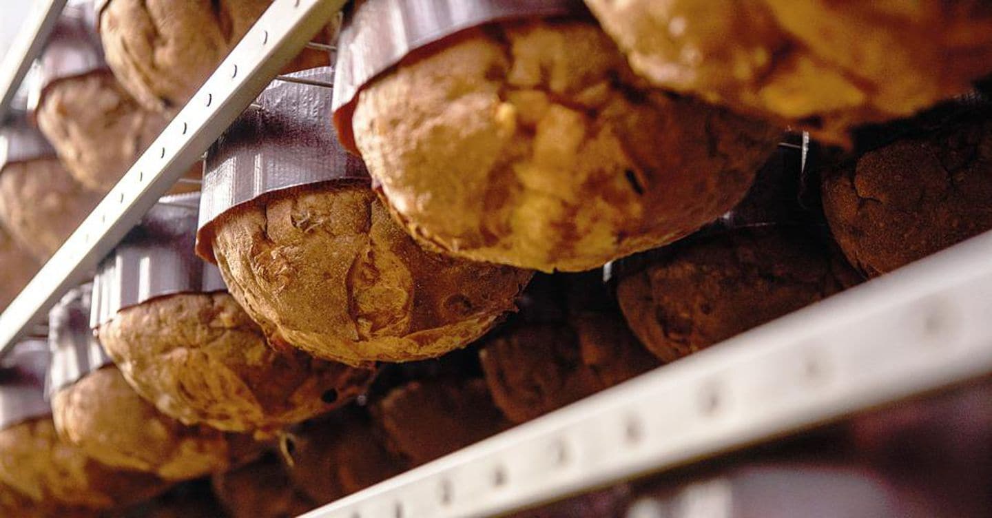 https://i2.res.24o.it/images2010/S24/Documenti/2025/11/21/Immagini/Ritagli/panettone-U45757386033LkN-1440x752@IlSole24Ore-Web.jpg