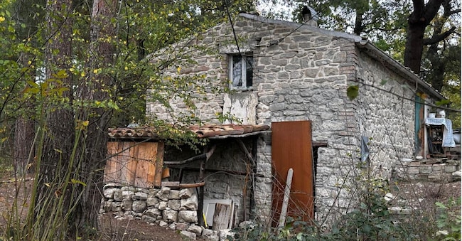 La casa nel bosco a Palmoli dove vivono Nathan Trevallion e Catherine Birmingham a cui il Tribunale per i minorenni di L'Aquila ha disposto la sospensione della potestà genitoriale dei tre figli minori, fra i 6 e gli 8 anni, che vivono con loro in un rudere fatiscente e privo di utenze e in una roulotte in provincia di Chieti. Disposto anche l'allontanamento dei bambini dalla dimora familiare e il loro collocamento in una casa famiglia e nominato un tutore provvisorio dei minori, l'avvocata Maria Luisa Palladino. 