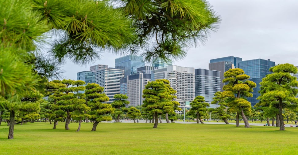 Verde e biodiversità per migliorare la salute degli abitanti nelle città