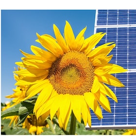 Photomontage with solar panels and sunflower flower