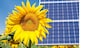 Photomontage with solar panels and sunflower flower