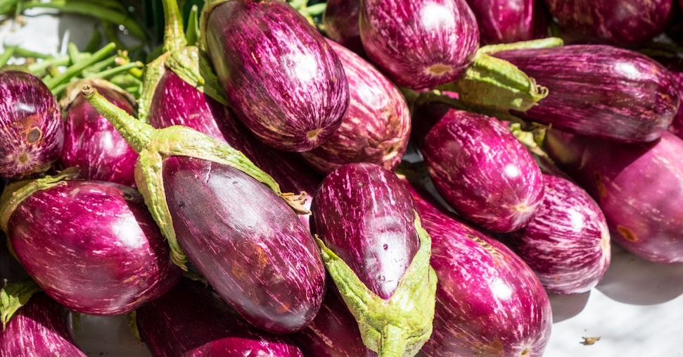 Mappato il genoma della melanzana: ecco perchè è un passo importante per l’innovazione in agricoltura