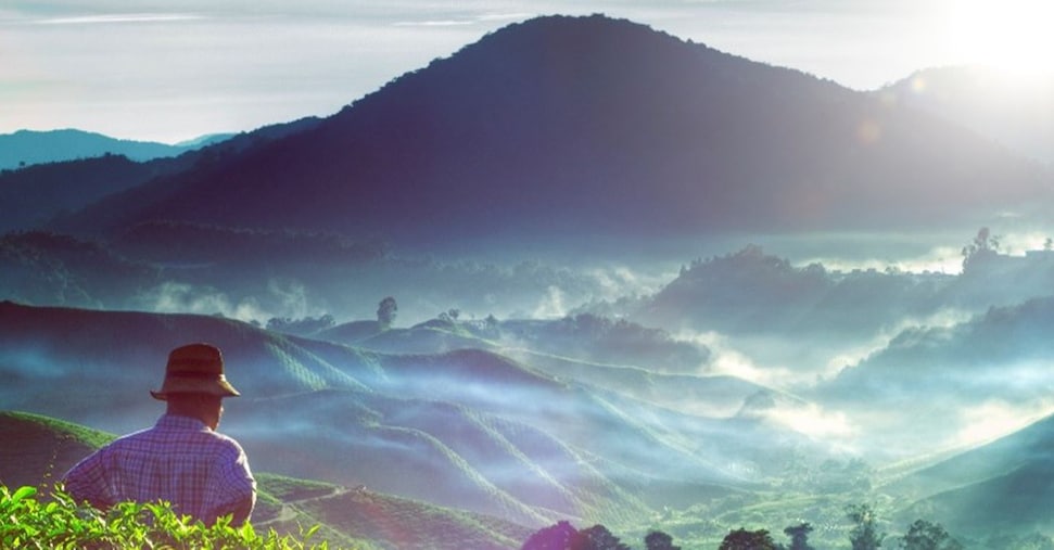 原始丛林、殖民魅力和未来主义天际线——这是处处值​​得探索的马来西亚