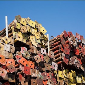 immagine non disponibile