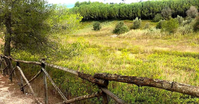 Nel Parco dei fossili di Cutrofiano