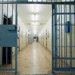 immagine non disponibile