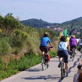 immagine non disponibile