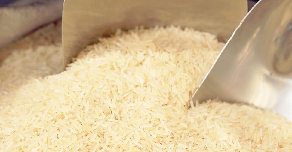 Riso, produttori contro la Ue: barriere all’import troppo basse