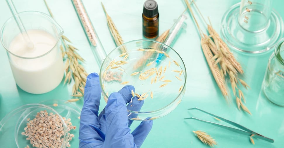 Biotech, accordo in Europa sul sì alle Tecniche di evoluzione assistita in agricoltura