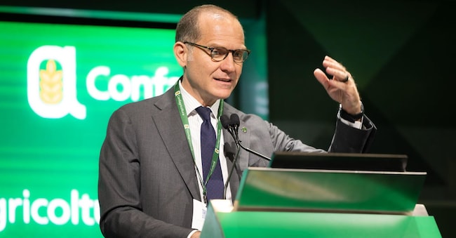 Massimiliano Giansanti, Presidente Confagricoltura. (Ansa)