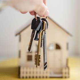 immagine non disponibile