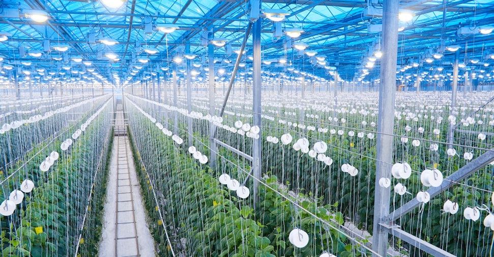 Robot, economia circolare e novel food: ecco 10 start up (quasi) pronte a entrare nel sistema agroindustriale