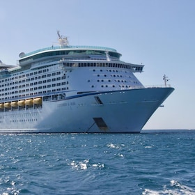 immagine non disponibile