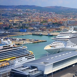 immagine non disponibile